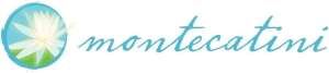 Montecatini logo